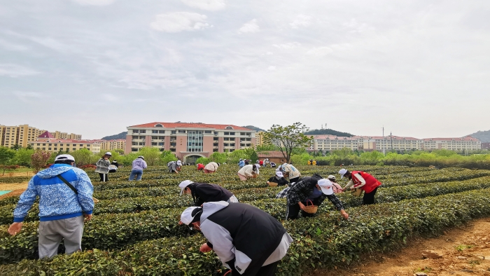 3-“耕读茶舍”劳动教育基地