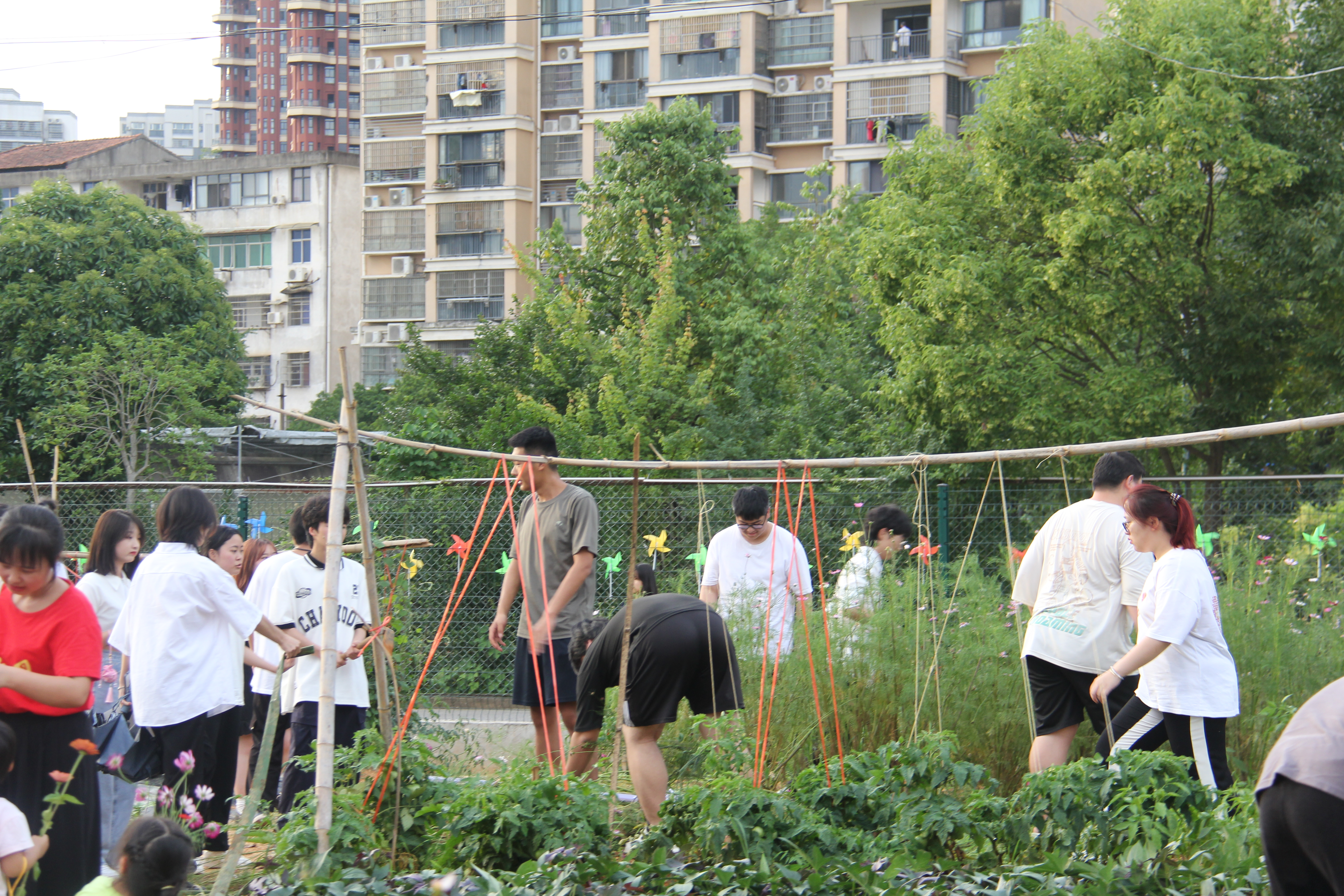 图4 味觉园 蔬菜种植区劳动.JPG